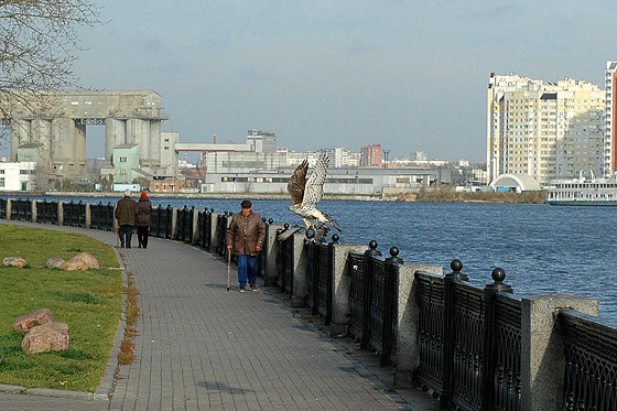 bird_1